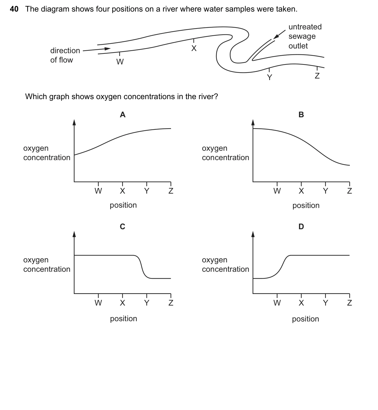 Question 40, November 2020, 0610 Paper 12