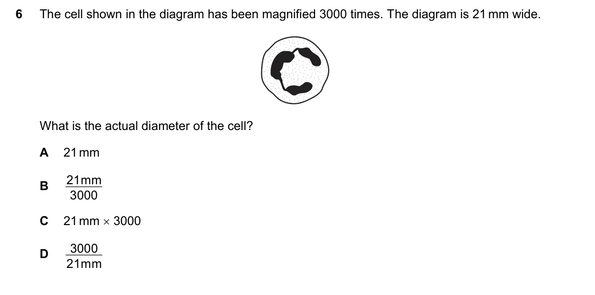 Question 6, November 2020, 0610 Paper 12