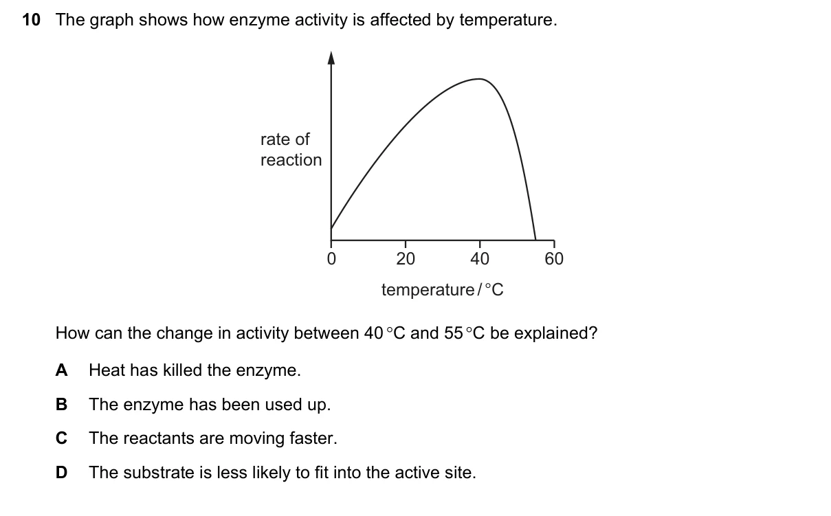 Question 10, November 2020, 0610 Paper 22