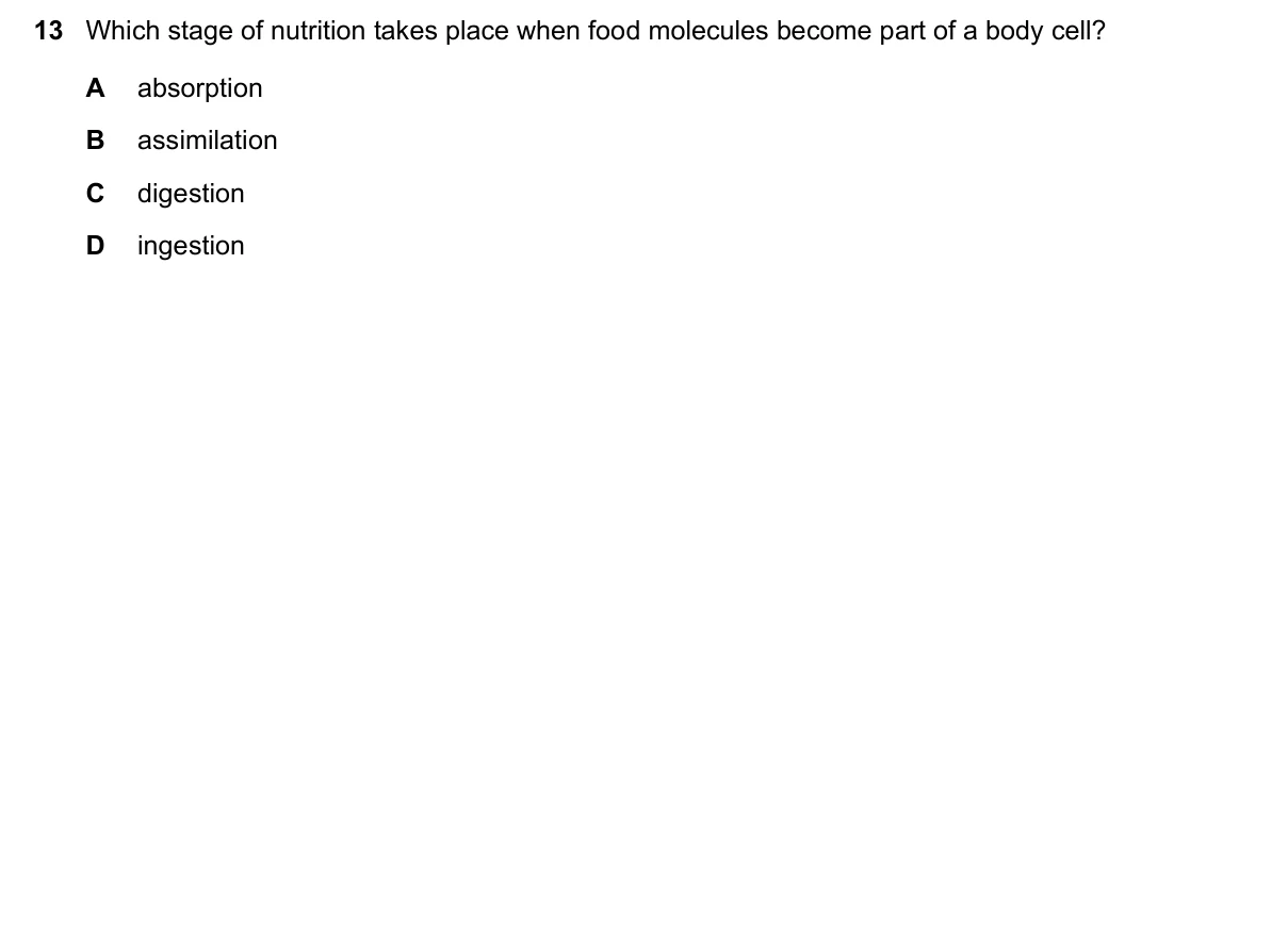Question 13, November 2020, 0610 Paper 22