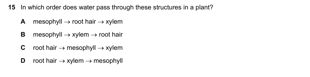 Question 15, November 2020, 0610 Paper 22