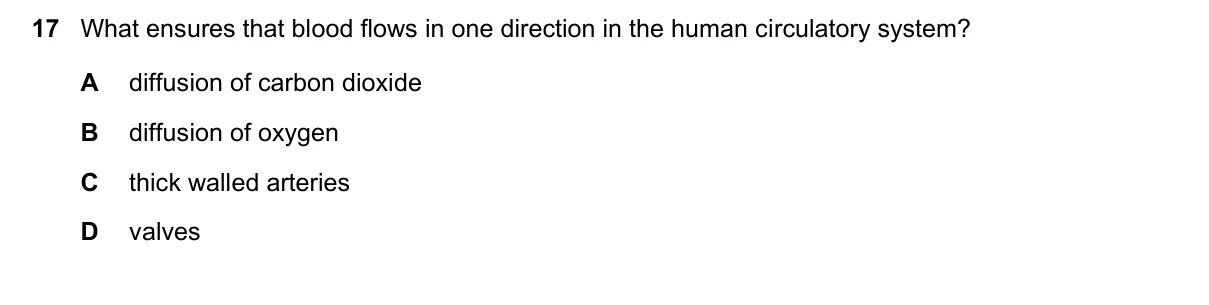 Question 17, November 2020, 0610 Paper 22