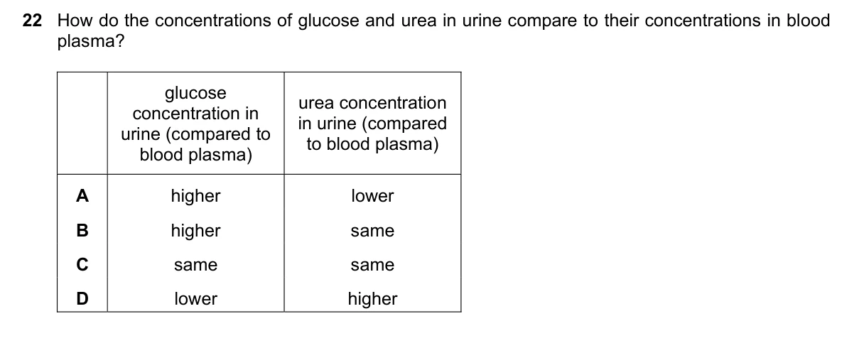 Question 22, November 2020, 0610 Paper 22