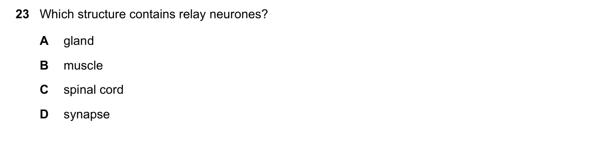 Question 23, November 2020, 0610 Paper 22