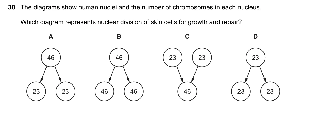 Question 30, November 2020, 0610 Paper 22