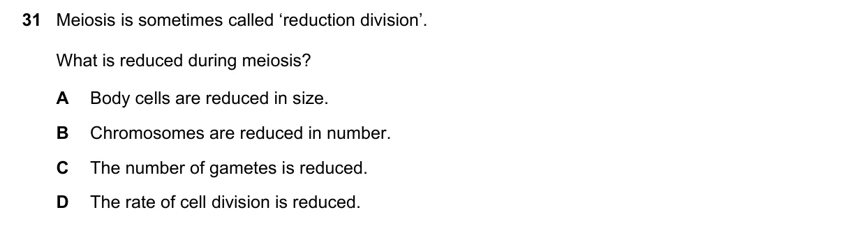 Question 31, November 2020, 0610 Paper 22