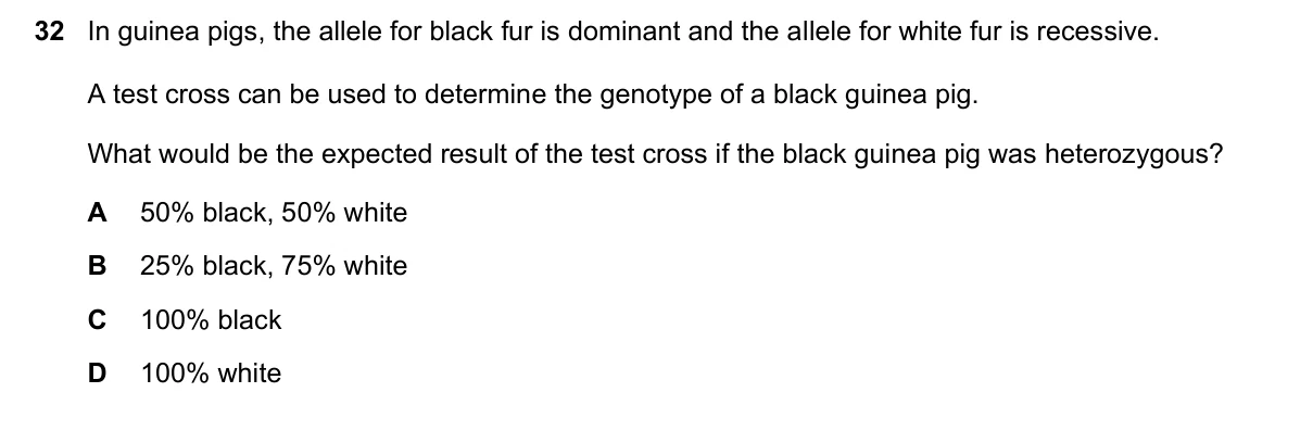 Question 32, November 2020, 0610 Paper 22