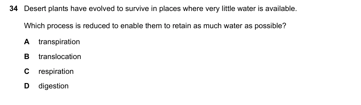Question 34, November 2020, 0610 Paper 22