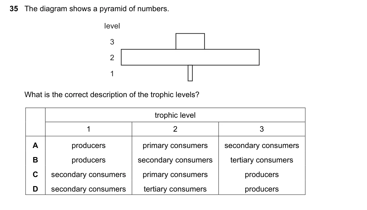 Question 35, November 2020, 0610 Paper 22