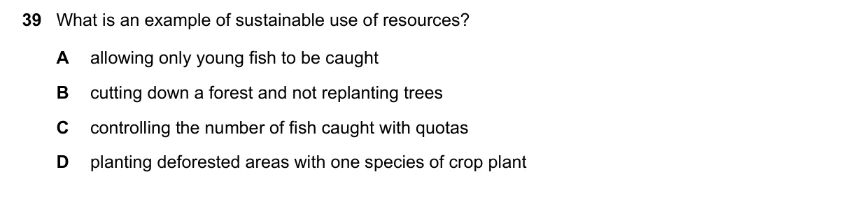 Question 39, November 2020, 0610 Paper 22