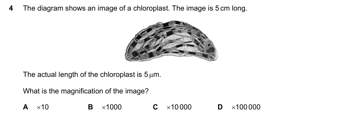 Question 4, November 2020, 0610 Paper 22