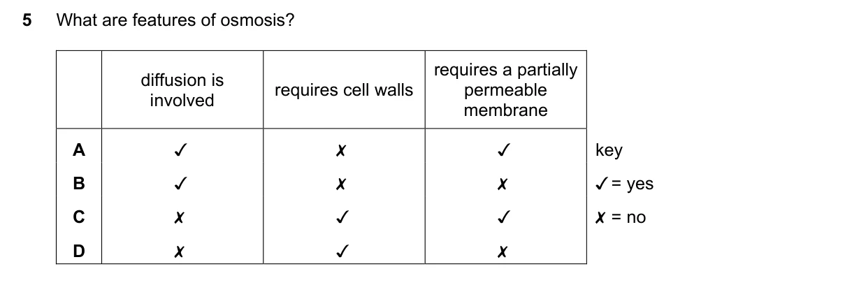 Question 5, November 2020, 0610 Paper 22