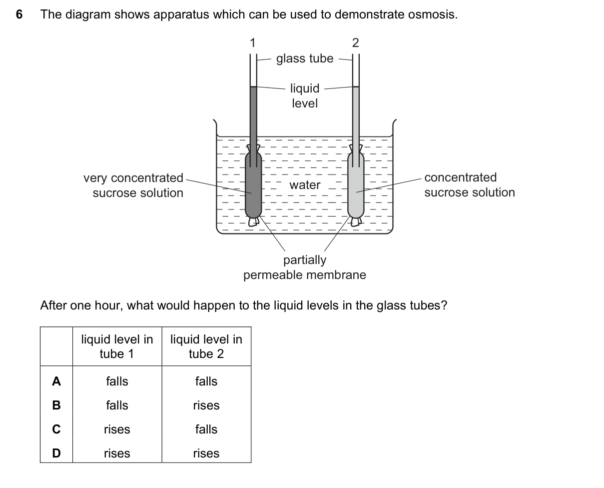 Question 6, November 2020, 0610 Paper 22