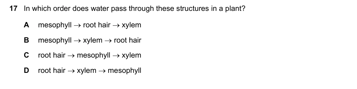 Question 17, November 2020, 0610 Paper 13