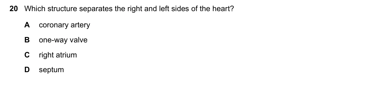 Question 20, November 2020, 0610 Paper 13