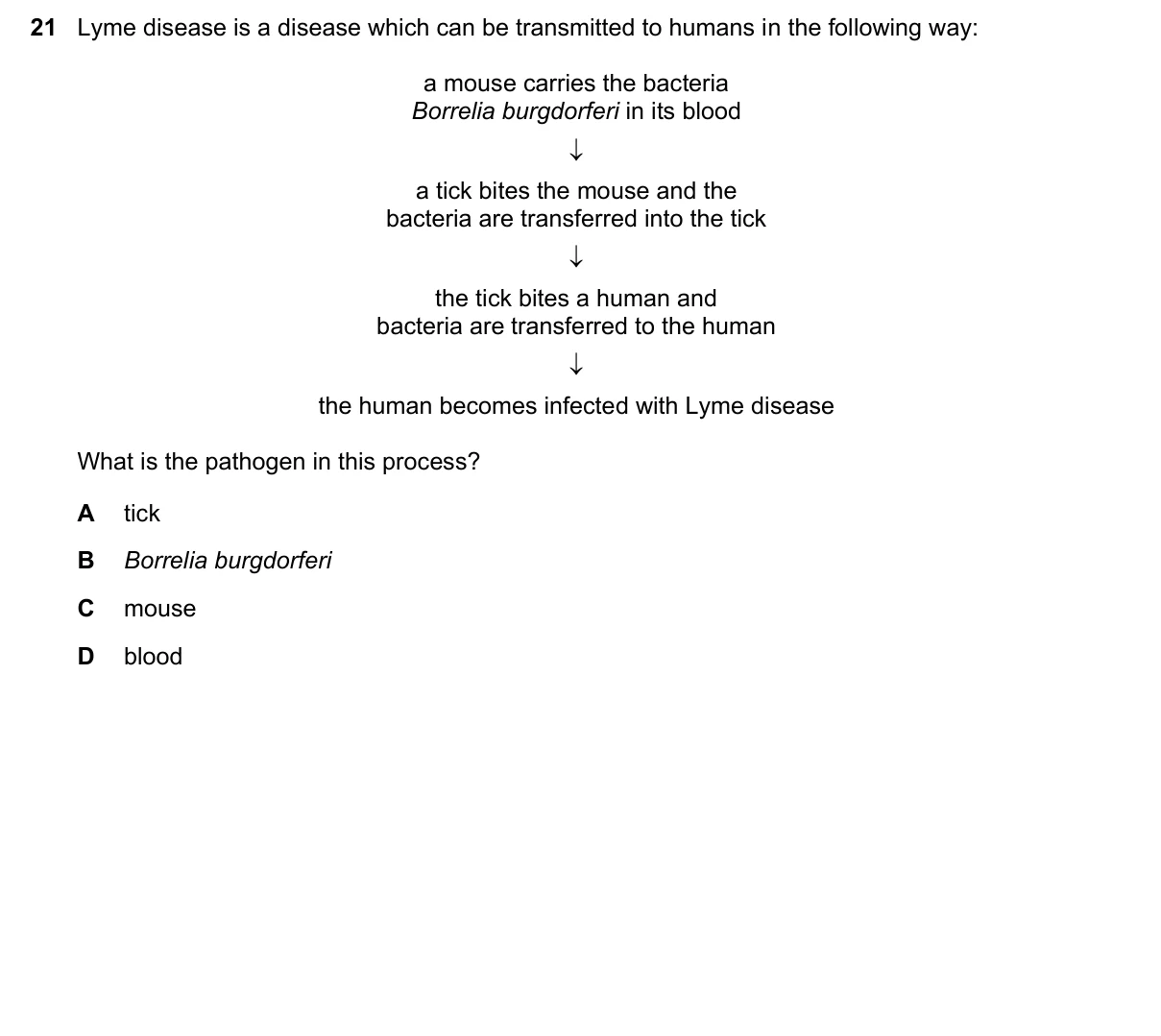 Question 21, November 2020, 0610 Paper 13