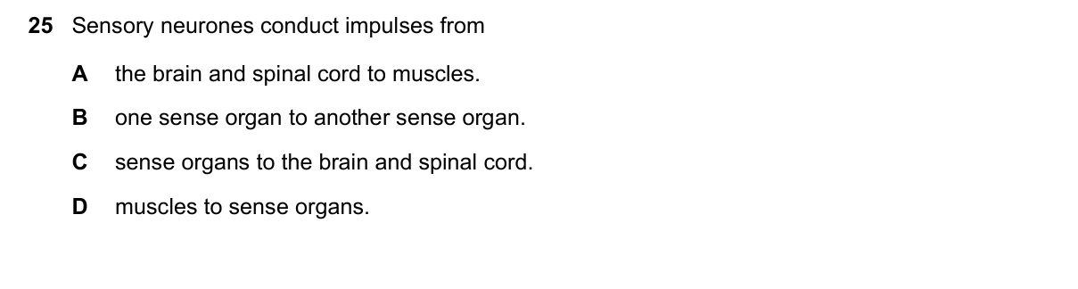 Question 25, November 2020, 0610 Paper 13