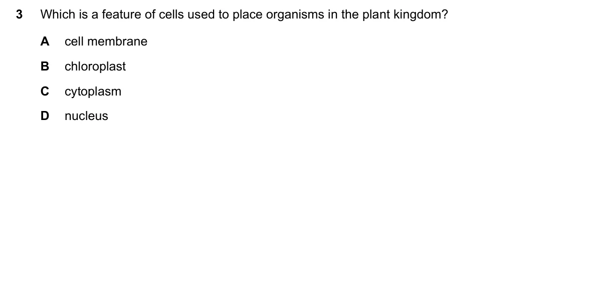 Question 3, November 2020, 0610 Paper 13