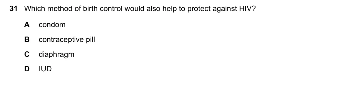 Question 31, November 2020, 0610 Paper 13