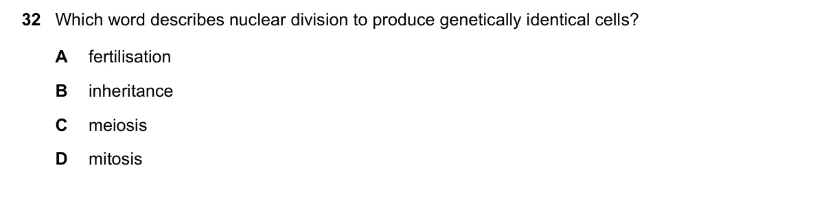 Question 32, November 2020, 0610 Paper 13