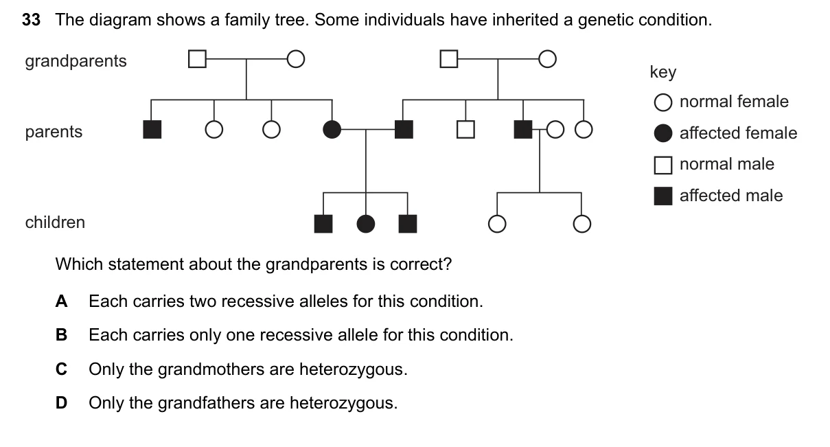 Question 33, November 2020, 0610 Paper 13