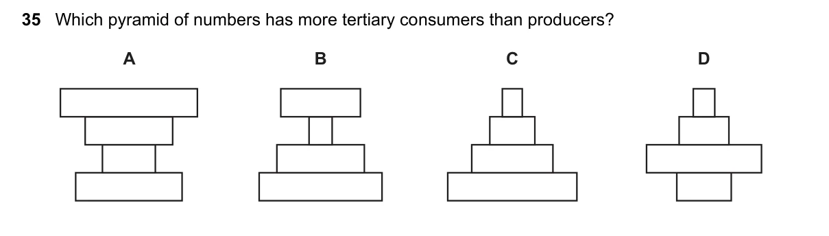 Question 35, November 2020, 0610 Paper 13