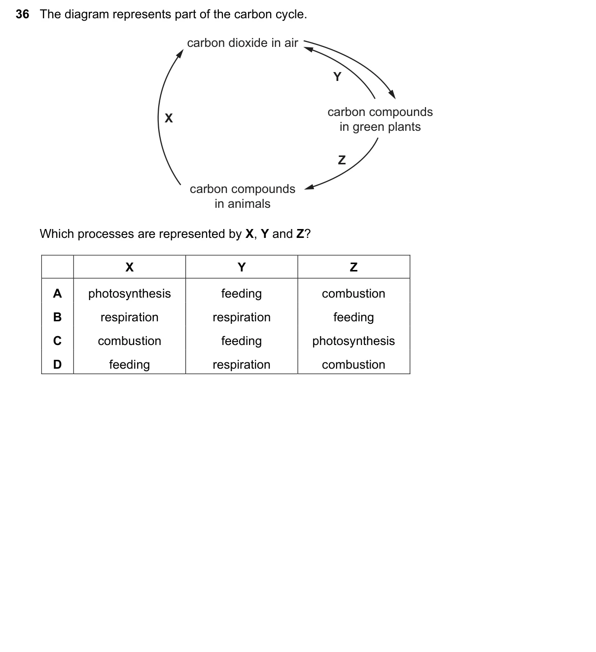 Question 36, November 2020, 0610 Paper 13