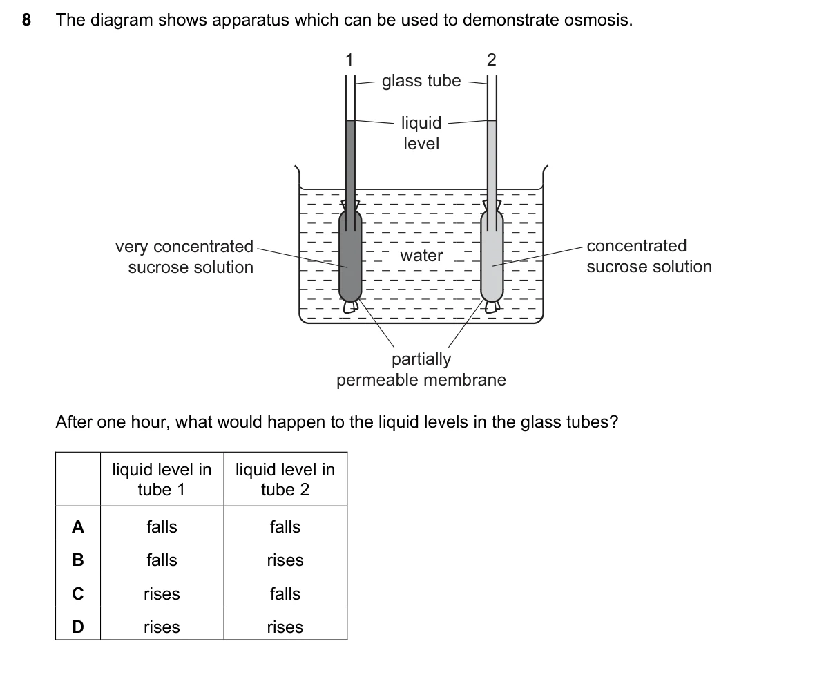Question 8, November 2020, 0610 Paper 13