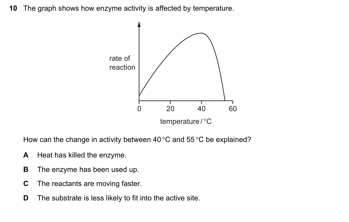 Question 10, November 2020, 0610 Paper 23