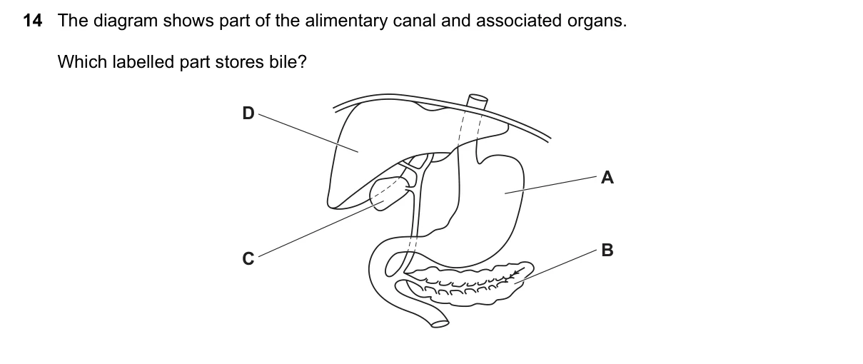 Question 14, November 2020, 0610 Paper 23