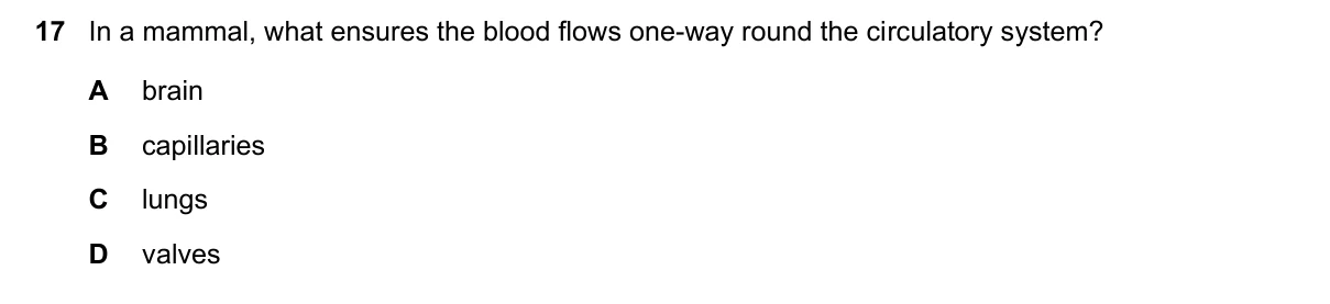Question 17, November 2020, 0610 Paper 23