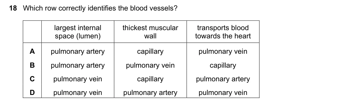 Question 18, November 2020, 0610 Paper 23