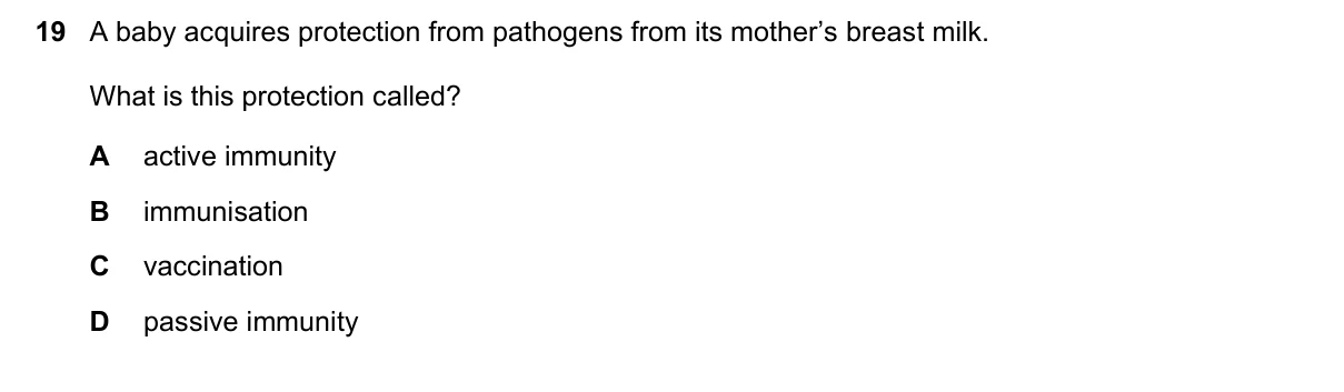 Question 19, November 2020, 0610 Paper 23