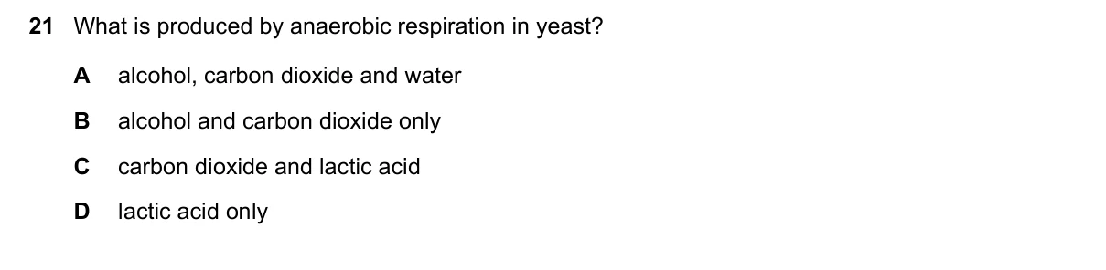 Question 21, November 2020, 0610 Paper 23