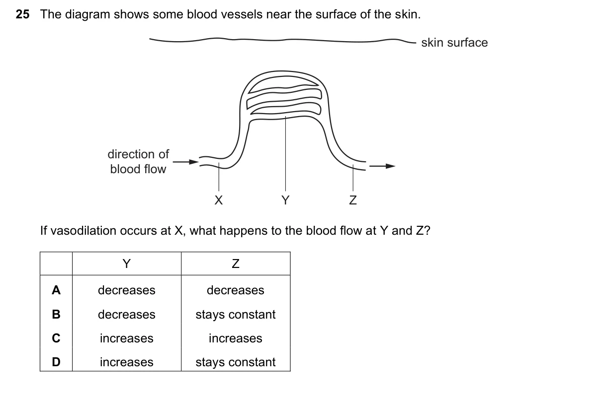 Question 25, November 2020, 0610 Paper 23