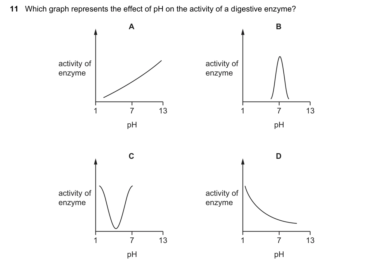Question 11, March 2021, 0610 Paper 12
