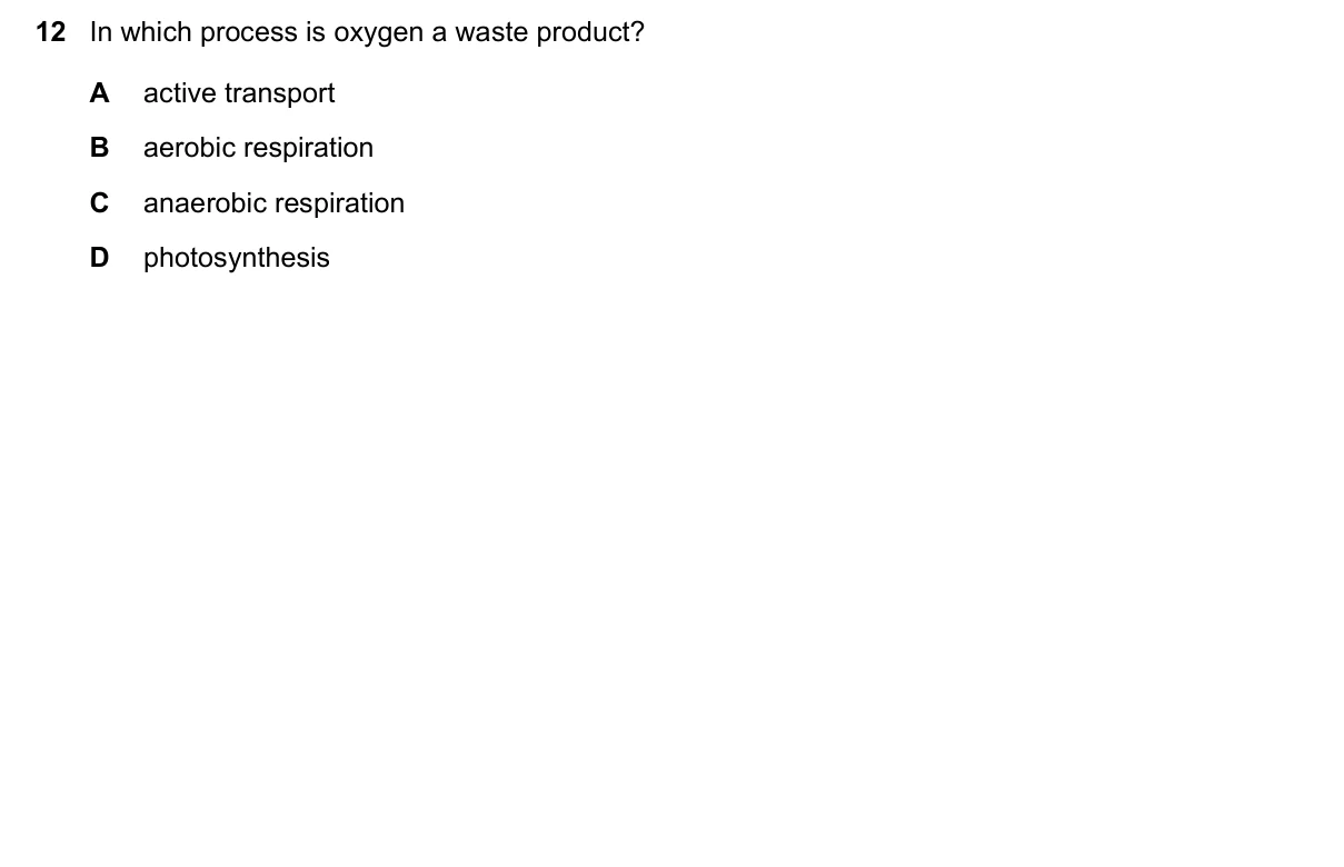 Question 12, March 2021, 0610 Paper 12