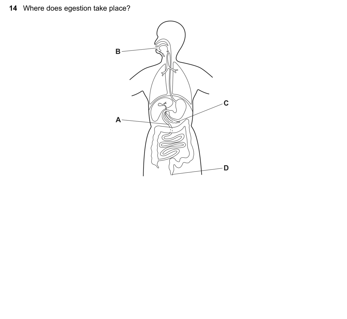 Question 14, March 2021, 0610 Paper 12