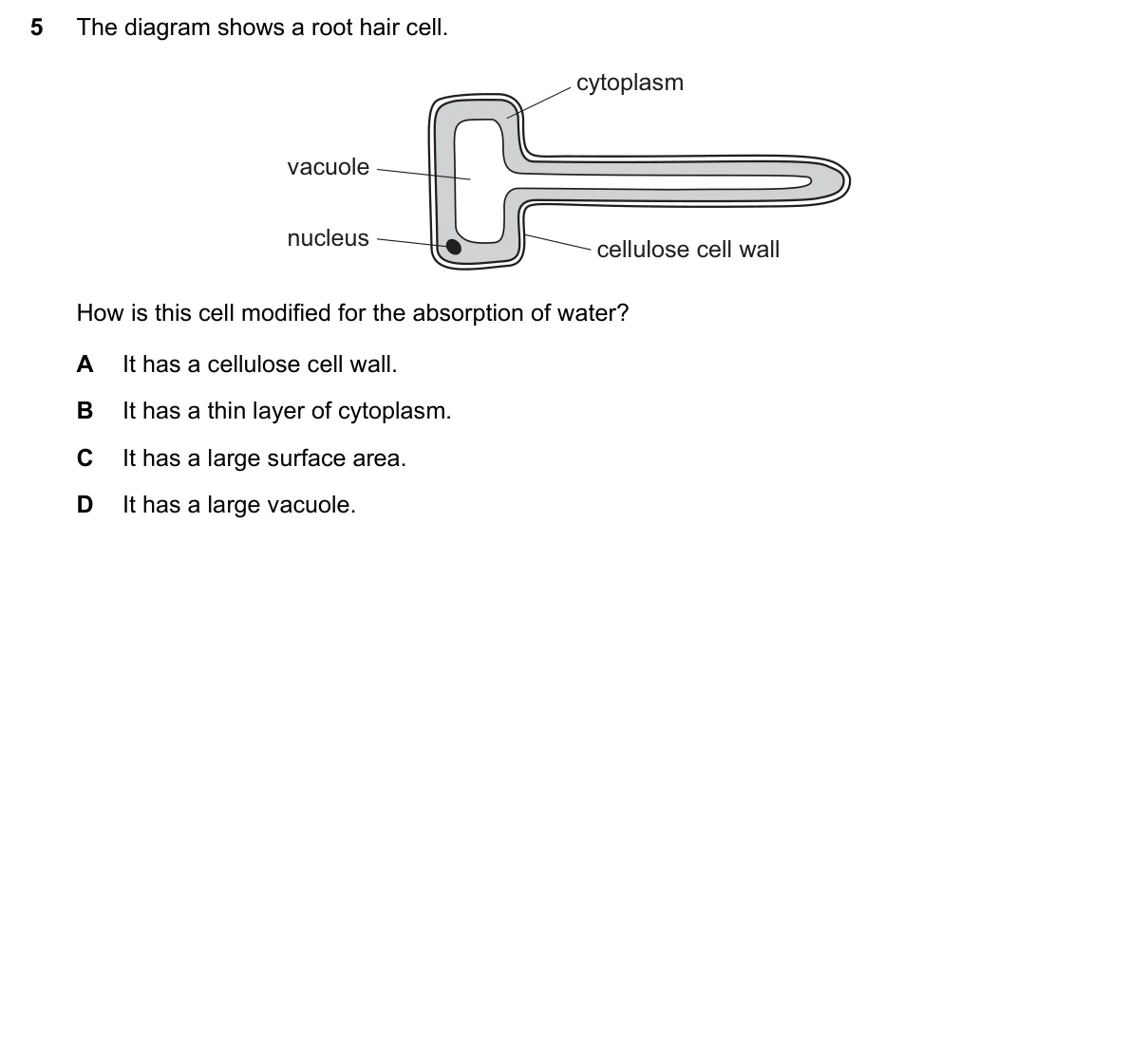 Question 5, March 2021, 0610 Paper 12