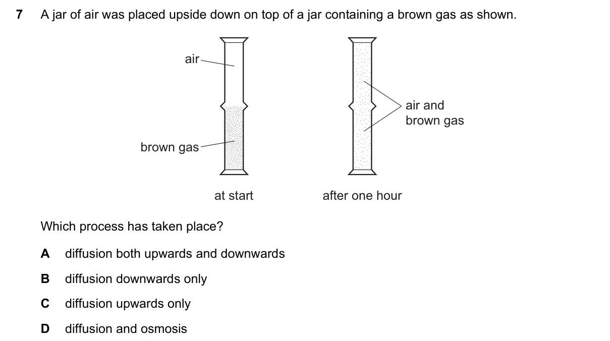 Question 7, March 2021, 0610 Paper 12
