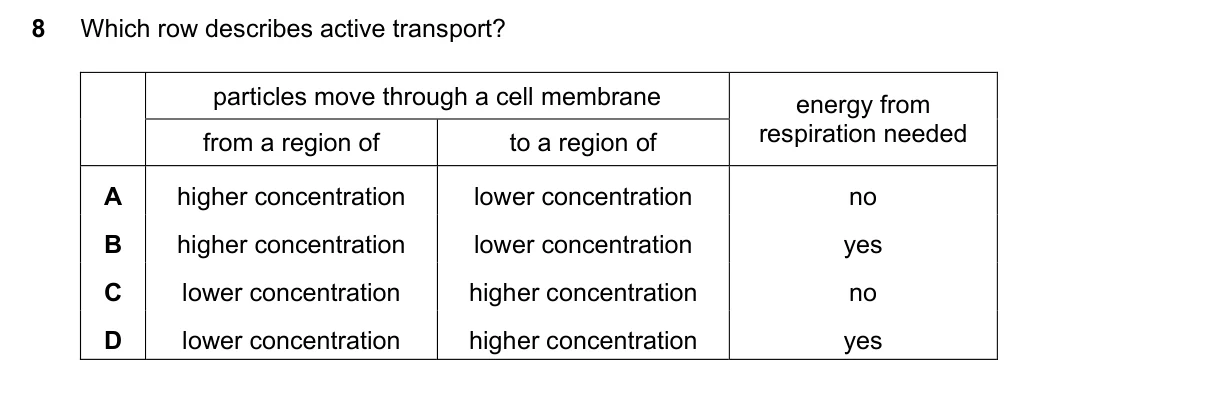 Question 8, March 2021, 0610 Paper 12