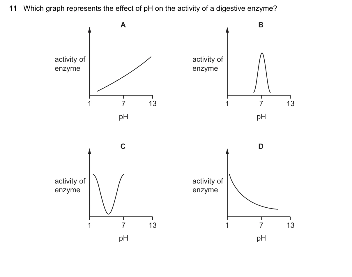 Question 11, March 2021, 0610 Paper 22