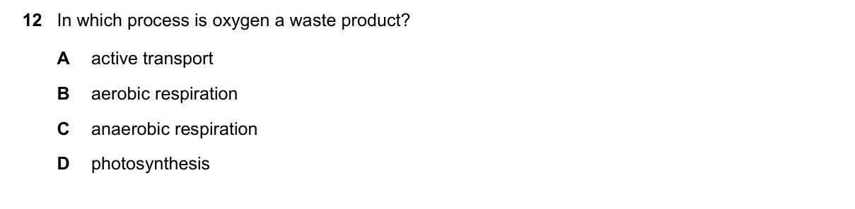 Question 12, March 2021, 0610 Paper 22