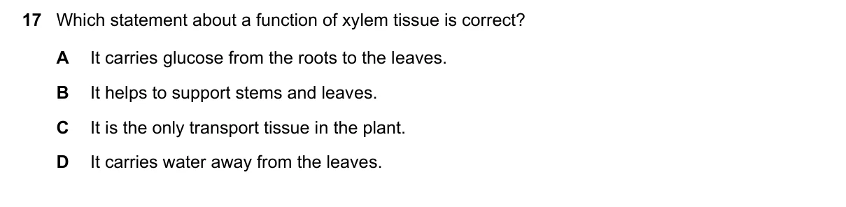Question 17, March 2021, 0610 Paper 22