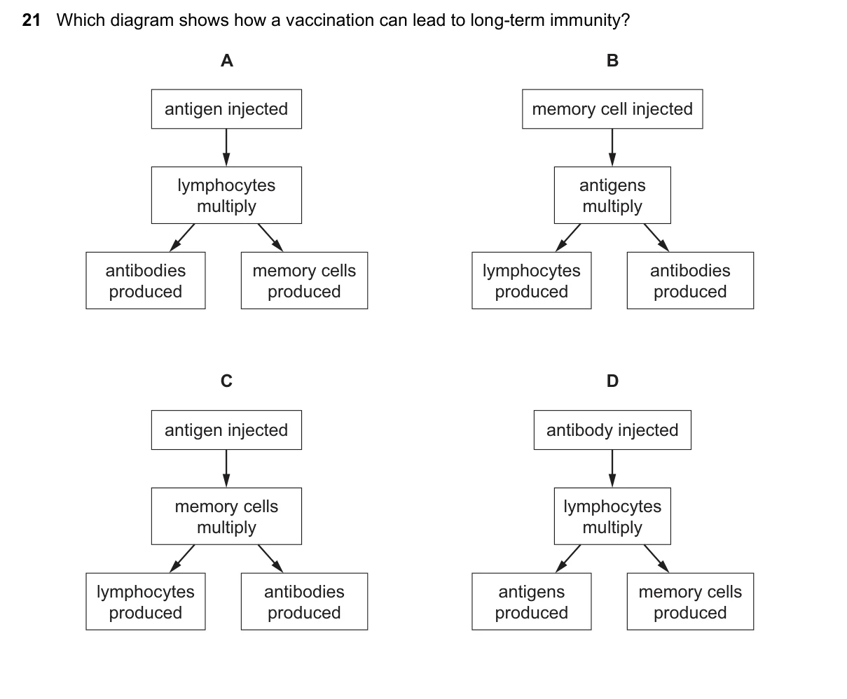 Question 21, March 2021, 0610 Paper 22