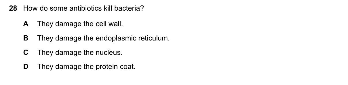 Question 28, March 2021, 0610 Paper 22