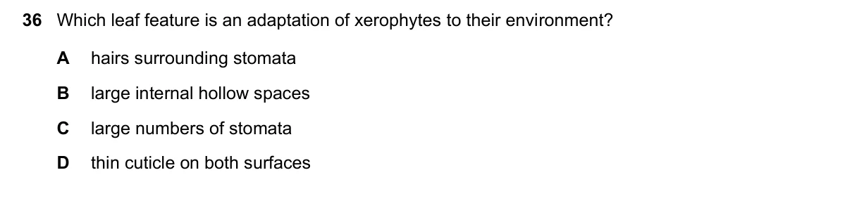 Question 36, March 2021, 0610 Paper 22