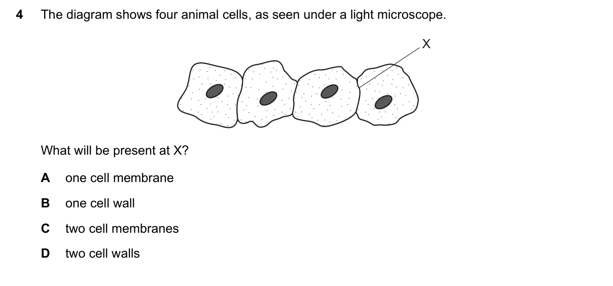 Question 4, March 2021, 0610 Paper 22