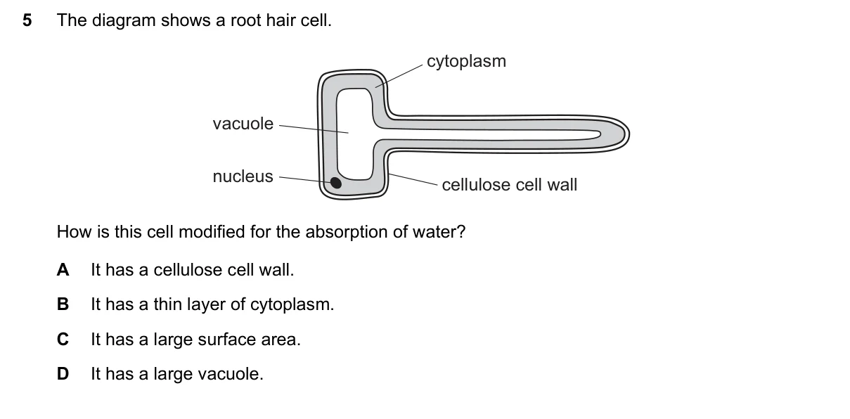 Question 5, March 2021, 0610 Paper 22