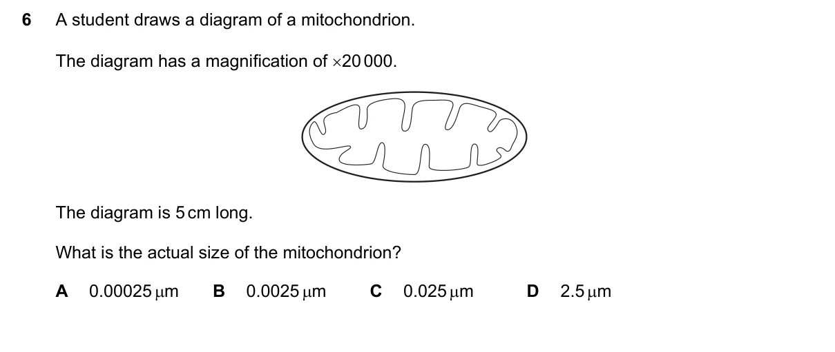 Question 6, March 2021, 0610 Paper 22